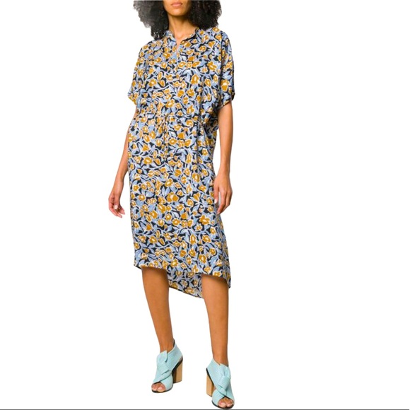 Christian Wijnants 100% Silk Dipha Foliage Dress 6 - Picture 17 of 17